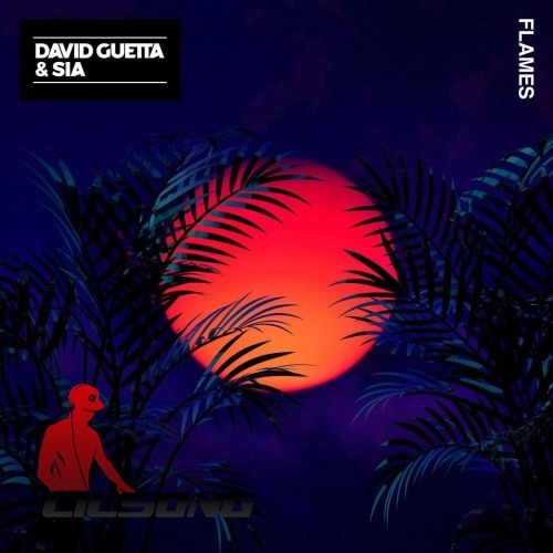 David Guetta & Sia - Flames (Pink Panda Extended Mix)